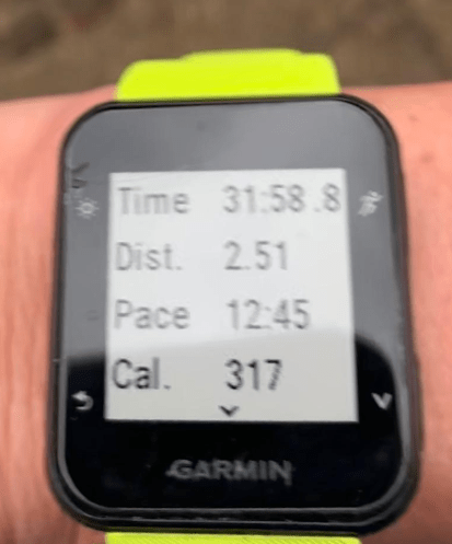 This image has an empty alt attribute; its file name is image-10.png