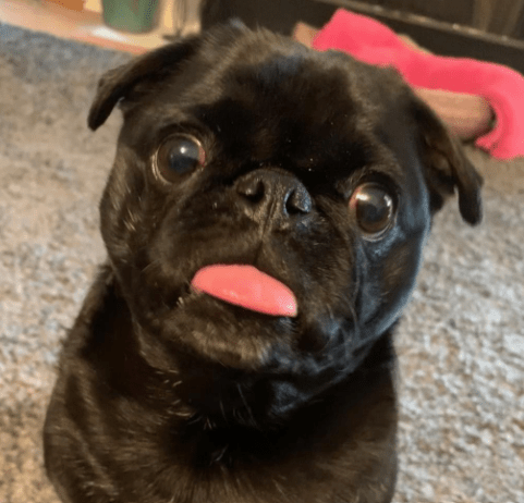 This image has an empty alt attribute; its file name is image-12.png